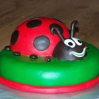 Lady Bug This was my 3rd cake and it was for my daughters 2nd birthday.