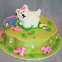 Webkinz Cake Childs webkinz made from royal icing.