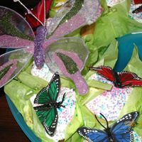 Butterfly Cupcakes just another view of the cupcakes. also wrapped green tissue paper around cones to look like leaves in garden