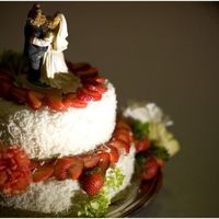 Coconut Wedding Cake Coconut covered wedding cake. Top layer white pound cake, bottom layer sugarless (as per bride's request. Worked out not too bad!!...