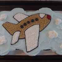 Airplane Cupcakes This is actually 15 cupcakes that were frosted as a single cake.