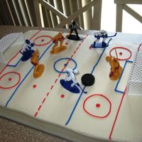 Hockey Rink For an end of season hockey party for the kids