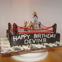 Wwe Wrestling Cake This was my second paid cake. The mom provided me with the figures and I provided the ring! The posts are chocolate dipped pretzels and the...