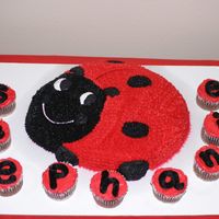 Cake For Stephanie This was a strawberry cake with buttercream. The cupcakes were chocolate. I did this for a 2nd birthday. She loved it!