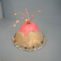 Volcano I used the wonder mold from Wilton to make this one. All fondant but the wire.