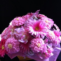 Cupcake Bouquet My first try at a cupcake bouquet!