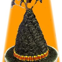 Witches Hat Picture does not do this cake justice. I colored the wires black but they wouldn't show up in pictures. Cake done in a major rush (as...
