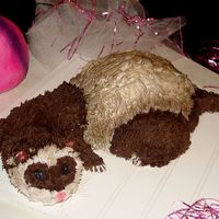 Ferret Friendly Fanciful Ferret with ball.All cake - iced with both vanilla and chocolate buttercreme and airbrushed to enchance design; whiskers not...