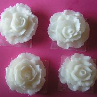 Wilton Course 1 Class 4 Roses These are my first attempt at Wilton roses. I personally think they look more like carnations. The icing was a little to thin. I also think...