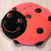 Wilton Course 1 Lesson 2 Pink Ladybug Cake This cake was my first all star tip cake. My daughter wanted me to make a pink ladybug, not a red one. I made a few mistakes. First, I...