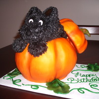 Scottie In A Pumpkin Scottie dog is cream cheese, pumpkin fondant.The cake inside was pumpkin chocolate chip