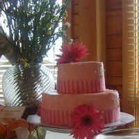 Bridal Shower Dark chocolate cake, white chocolate buttercream icing, raspberry filling. My first big project.