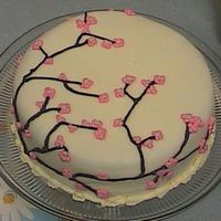 My Sisters Birthday Cake this is the first time i used fondant... and it turned out awsome. i used MMF and it worked out so wonderful. i did a cherry blossom theme...