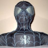 Black Spiderman another view of spidy