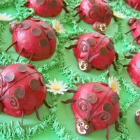 Ladybugs I made these mini ladybug cakes for a bridal shower. I used the Wilton mini ball pan.