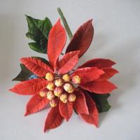 Poinsettia 