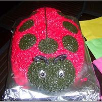 Ladybug Last minute cake for a little girl that wasn't going to be having a birthday party and then plans changed.