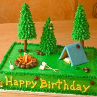 Camping Cake This one was really fun to make! Chocolate cake with vanilla/almond buttercream. Fondant and graham cracker tent. Fondant sleeping bag and...