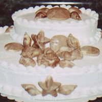 Chocolate Sea Shells I made this cake for a friend's bridal shower. They were getting married on the beach, so I found it appropriate.