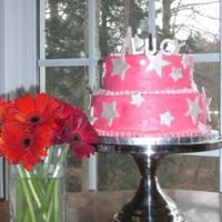 Pink Star Birthday Cake Cake for a 2 year old's birthday. The theme was twinkle twinkle little star, but in pink and silver.