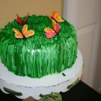 Butterfly Cake A chocolate cake with cookies and cream filling. It's covered in mmf and then royal icing "grass". The butterflies are royal...