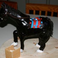 Sarah's Vetta I recreated my grand daughter's 10th birthday cake to mirror image her own horse. She loved it!!!
