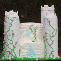 Dreamy Castle I made this cake fro my son and daughter's birthday party. The towers are fondant covered potato chip cans with buttercream and royal...