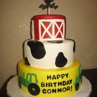 Old Mcdonald's Farm for a 3rd birthday party at Mainstay Farm