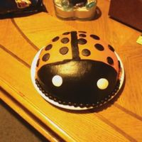 Ladybug made this for my niece for a class project wasc cake buttercream icing