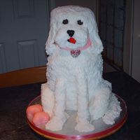 3D Dog this was a cake for my dog mad daughter's 7th birthday.