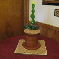 Cactus Pot Cake Was asked to make this cake for the Valley Land Fund. Was half chocolate and half vanilla with vanilla buttercream and then covered in mmf...