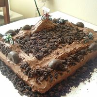 Dirt Bike Cake This was my first decorated cake besides the ones in the classes. It was for my step-son's 3rd birthday about a month after we went to...