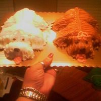 Puppie Cupcakes Made w/ left over cupcakes and so much fun!!