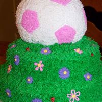 Girly Soccer Cake This is for a 9 year old girl who's nickname is bug. The lady bugs were just for her!