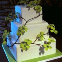 Brandi Fondant with gum paste dogwood branch.