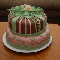 Baby Girl In A Pea Pod Baby Shower Cake for my sister-in-law who is expecting a little girl. Top layer is german chocolatewith coconut pecan filling, covered in...