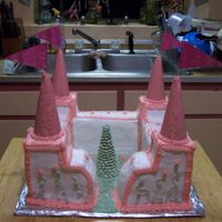 My 1St Castle this was my first attempt at a castle cake. didnt think it would take as long as it did but i finally got thru with it.