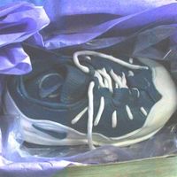 Kid's Nike Shoe This is my first shoe. I put it in a real shoebox with tissue paper surrounding it.