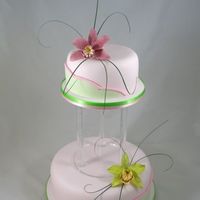Two Tone Orchids Dragons and Daffodils Cakes two tier cake on a perspex separator, two tone sugarpaste covering with sugar orchids