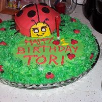 Ladybug2 Chocolate birthday cake for our Ladybug's Birthday!