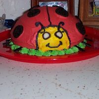 Ladybugs_028.jpg This is the cake I made for my daughters 1st birthday. This was her cake to destroy. Her nickname is Ladybug!