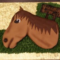 Horse Cake My first sculpted horse head cake. All fondant, bc grass, fondant sign.