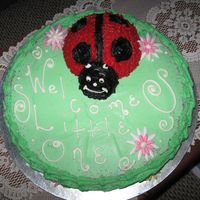 Lady Bug Baby Shower Cake 