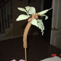 Gumpaste Palm Tree Made this for my daughter's Luau birthday cake, which is in the children's b-day cake gallery
