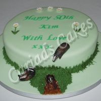 Badgerw.jpg Birthday cake for a lady who loves Badgers.