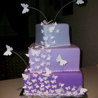 Butterflies Cherry cake with chocolate ganache filling and vanilla buttercream and fondant icings. Gum paste butterflies.