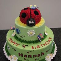 Ladybug Cake 10" butter/white cake, 6" and ladybug chocolate. Buttercream icing with royal decorations.