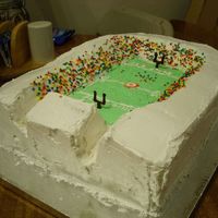 Ohio State Football Stadium (Aka "the Horseshoe") Completely edible. Sculpted cake, iced with Bettercream, chocolate goal posts.