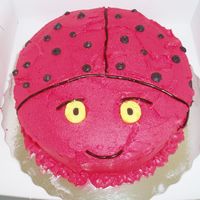 Picture_094.jpg My first attempt at a Lady bug cake