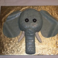 Elephant I made this cake for my daughters 13th birthday.
